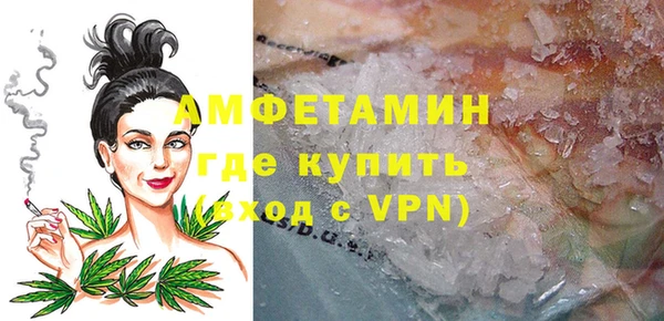молекула духа Арсеньев