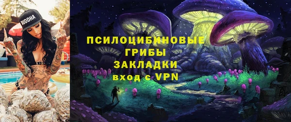 Альфа ПВП Семёнов