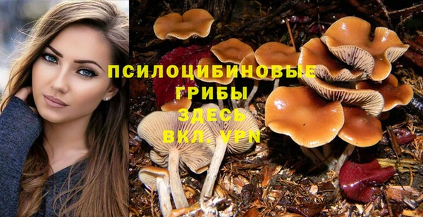 меф Армянск