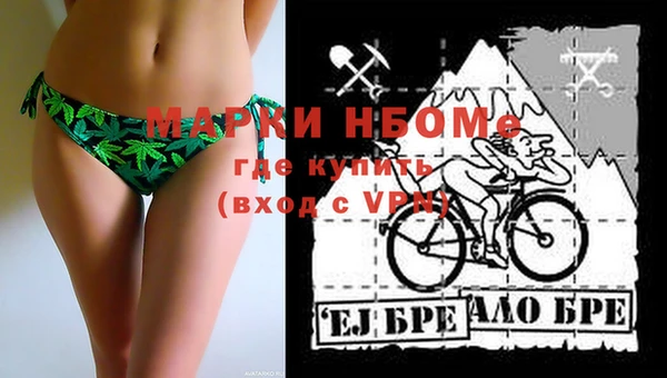 молекула духа Арсеньев