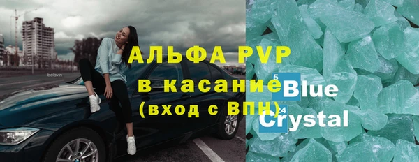 молекула духа Арсеньев